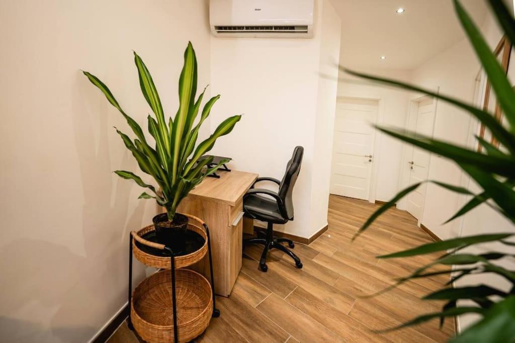 음시다 Luxurious & Stylish Penthouse With Private Pool 아파트 외부 사진